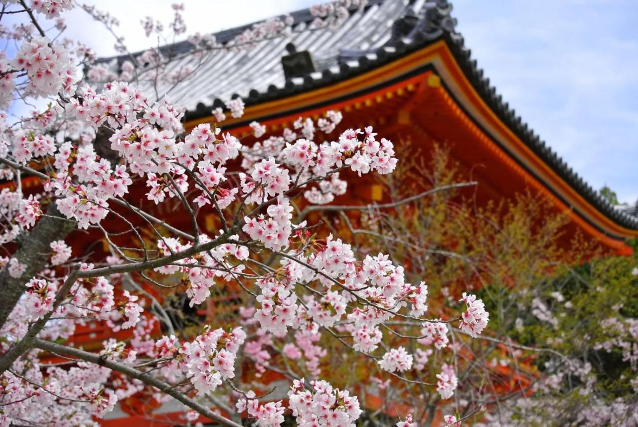 Stay Sakura Kyoto Gion North Eksteriør bilde